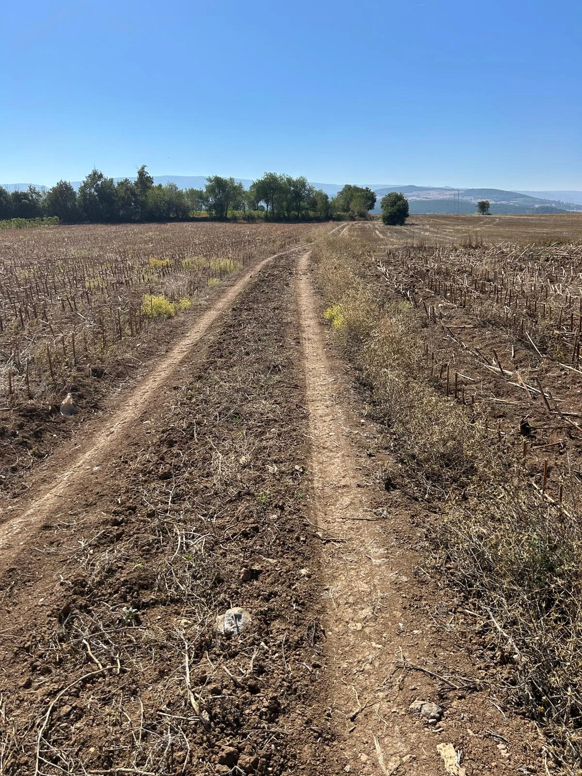Erbaa Doğanyurt köyünde Satılık  tarla - Resim 2