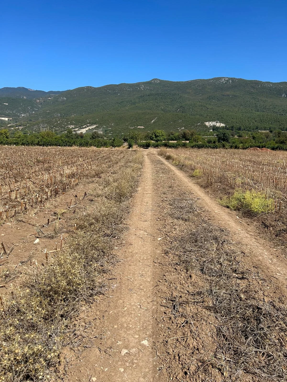 Erbaa Doğanyurt köyünde Satılık  tarla - Resim 7