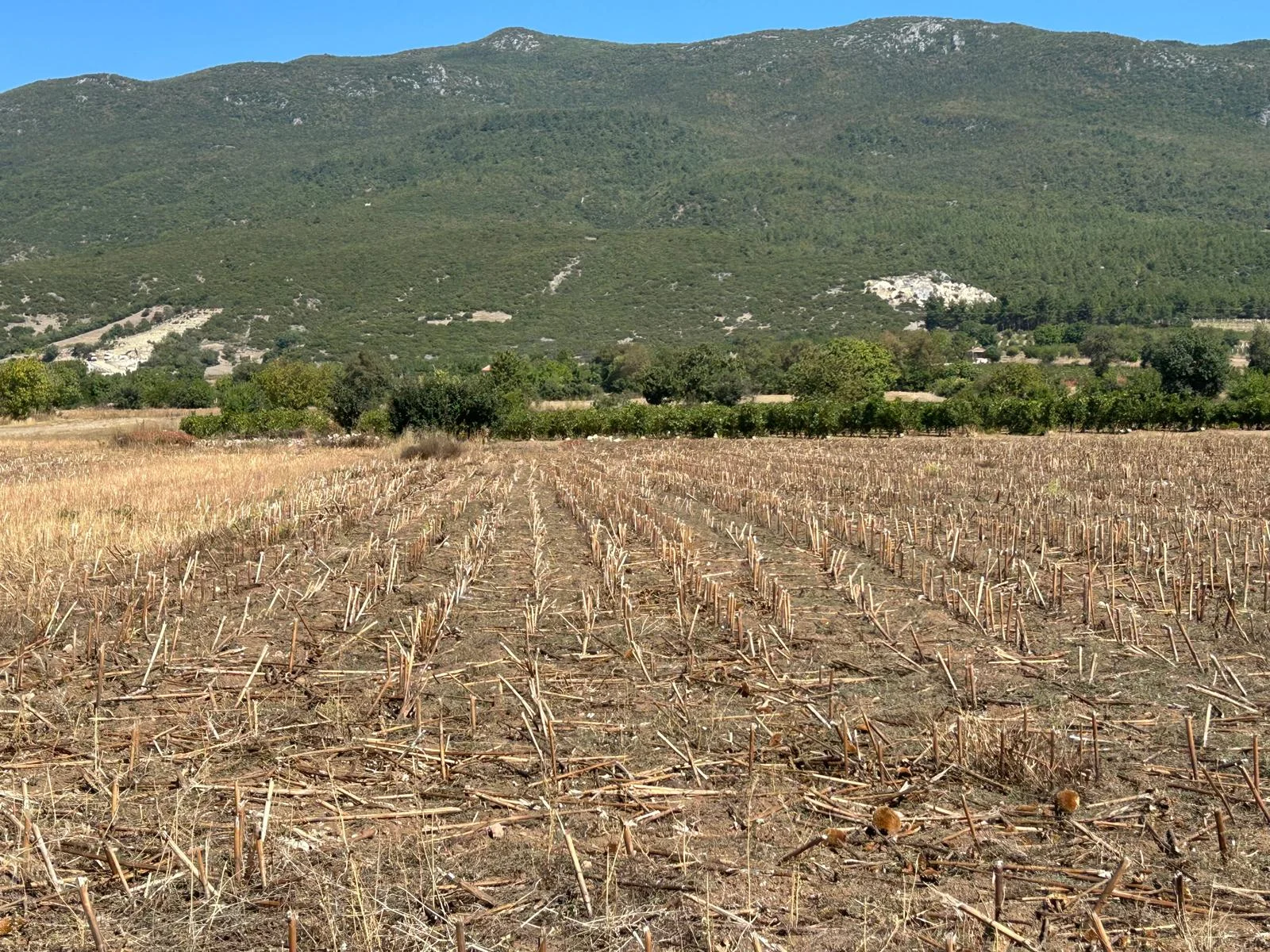 Erbaa Doğanyurt köyünde Satılık  tarla - Resim 8