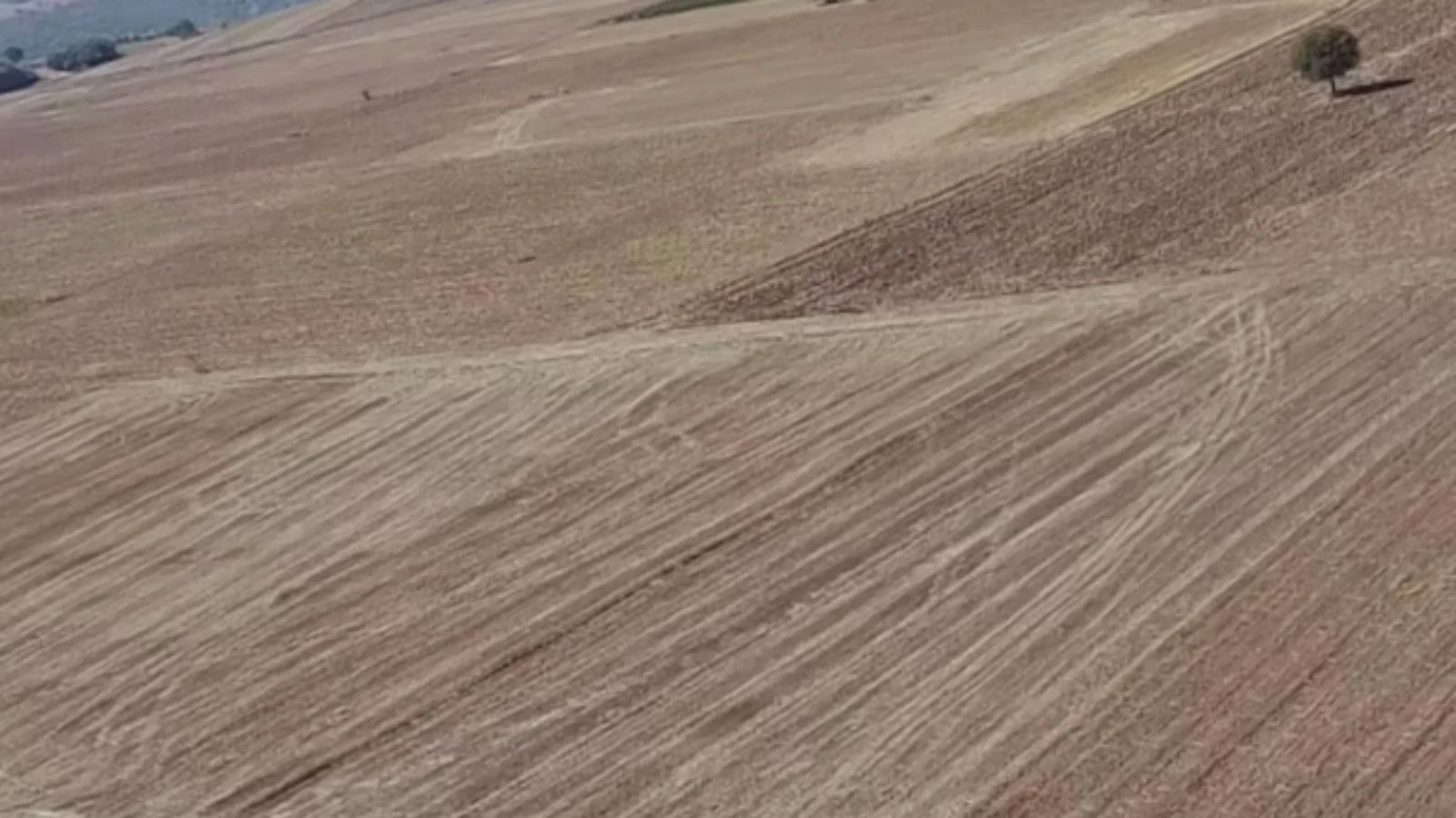 Erbaa Doğanyurt köyünde Satılık  tarla - Resim 12