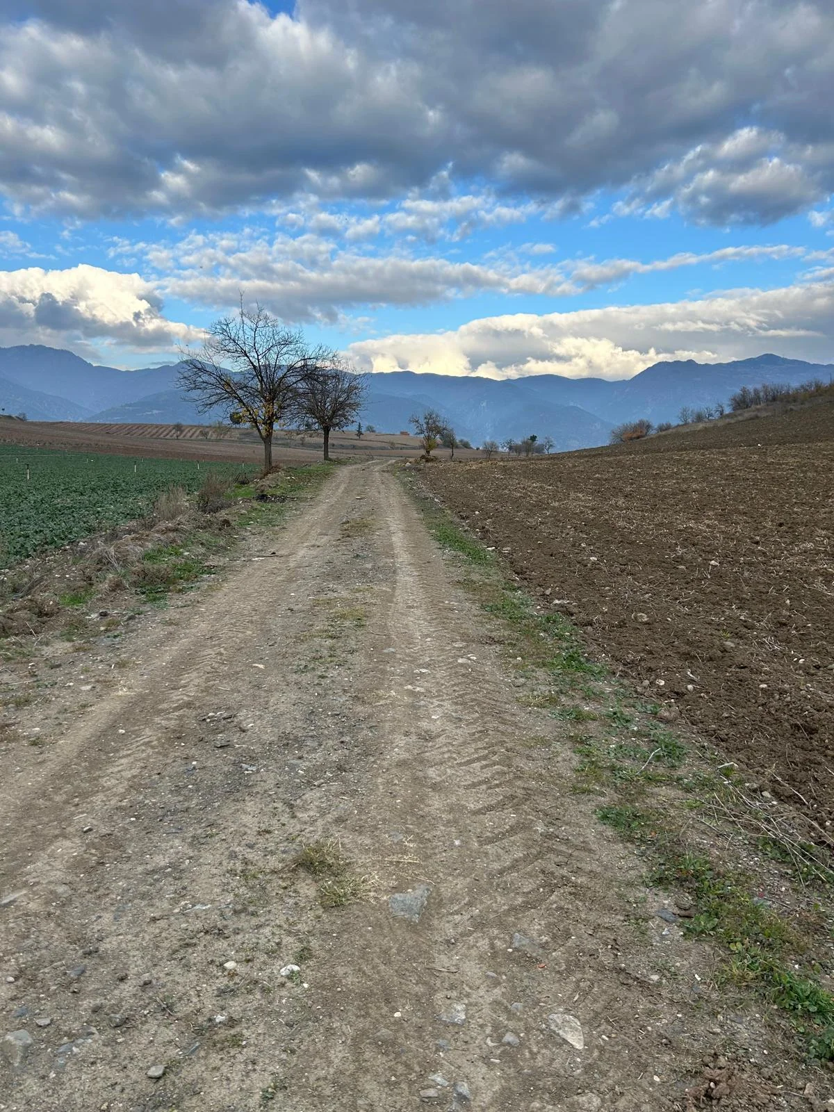 Erbaa Karşıyaka mahallesinde satılık tarla - Resim 9