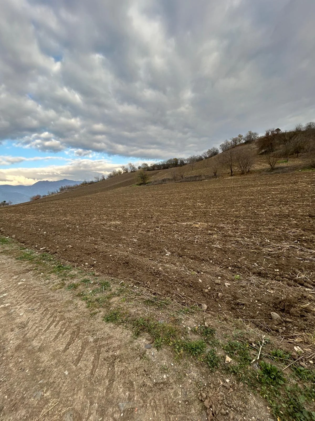 Erbaa Karşıyaka mahallesinde satılık tarla - Resim 12