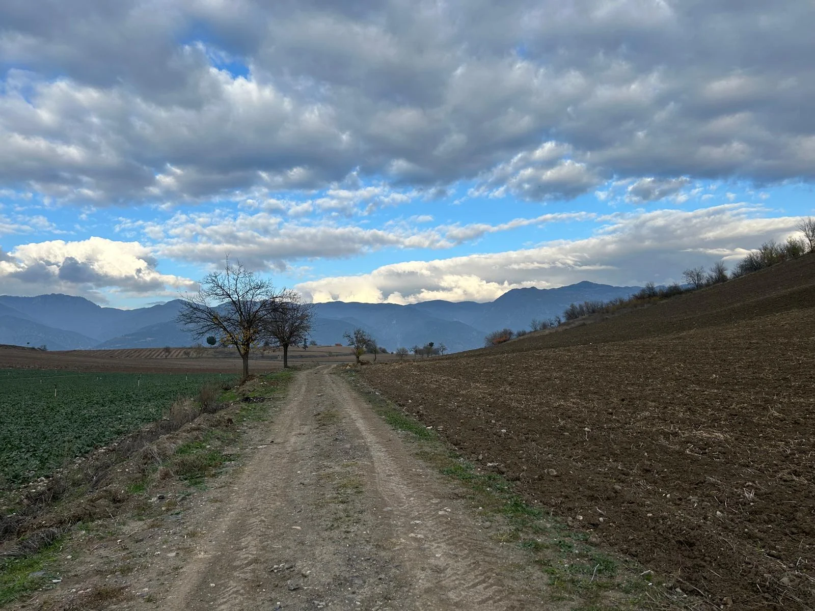 Erbaa Karşıyaka mahallesinde satılık tarla