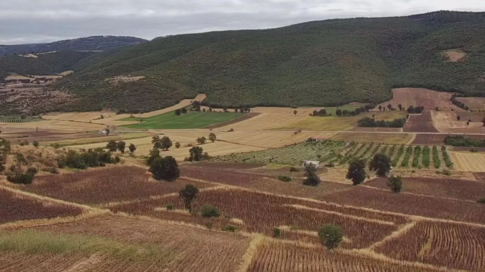 Erbaa Değirmenli köyünde 8136 m2 satılık tarla - Resim 2