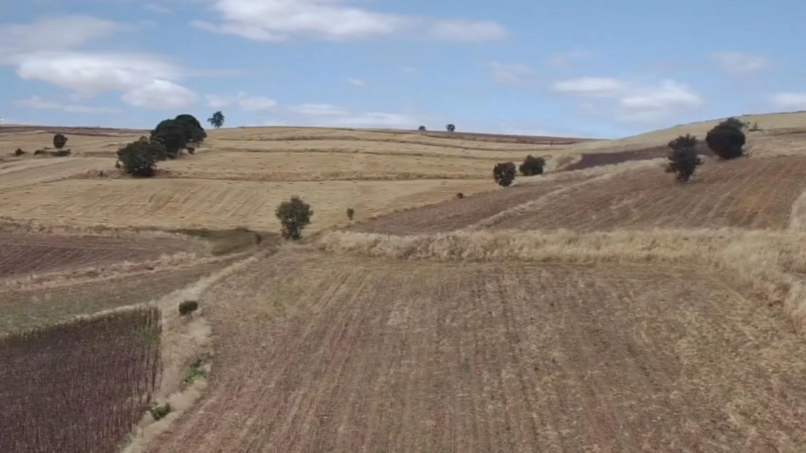 Erbaa Değirmenli köyünde 8136 m2 satılık tarla - Resim 4