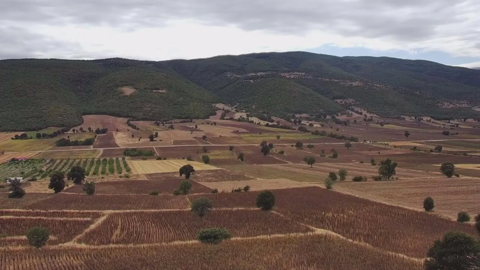 Erbaa Değirmenli köyünde 8136 m2 satılık tarla - Resim 7