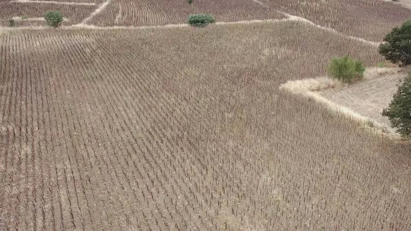 Erbaa Değirmenli köyünde 8136 m2 satılık tarla - Resim 8