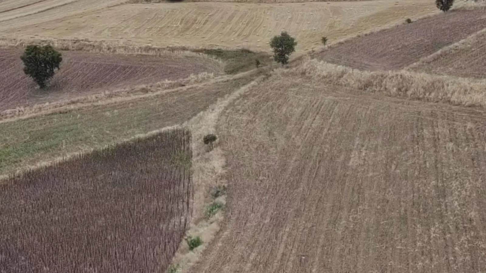 Erbaa Değirmenli köyünde 8136 m2 satılık tarla - Resim 9