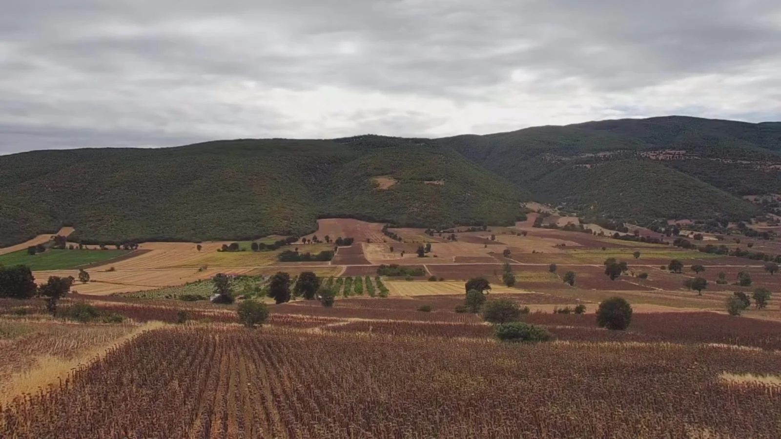 Erbaa Değirmenli köyünde 8136 m2 satılık tarla - Resim 10