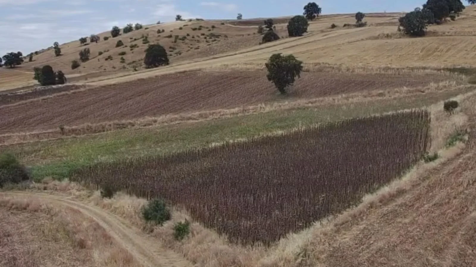 Erbaa Değirmenli köyünde 8136 m2 satılık tarla - Resim 12