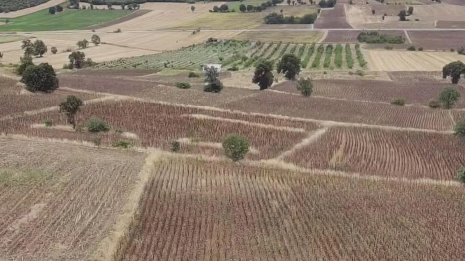 Erbaa Değirmenli köyünde 8136 m2 satılık tarla - Resim 13