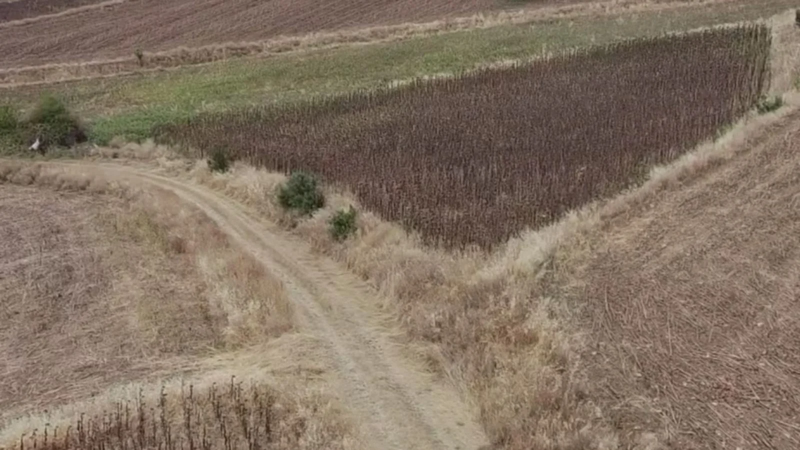 Erbaa Değirmenli köyünde 8136 m2 satılık tarla - Resim 14