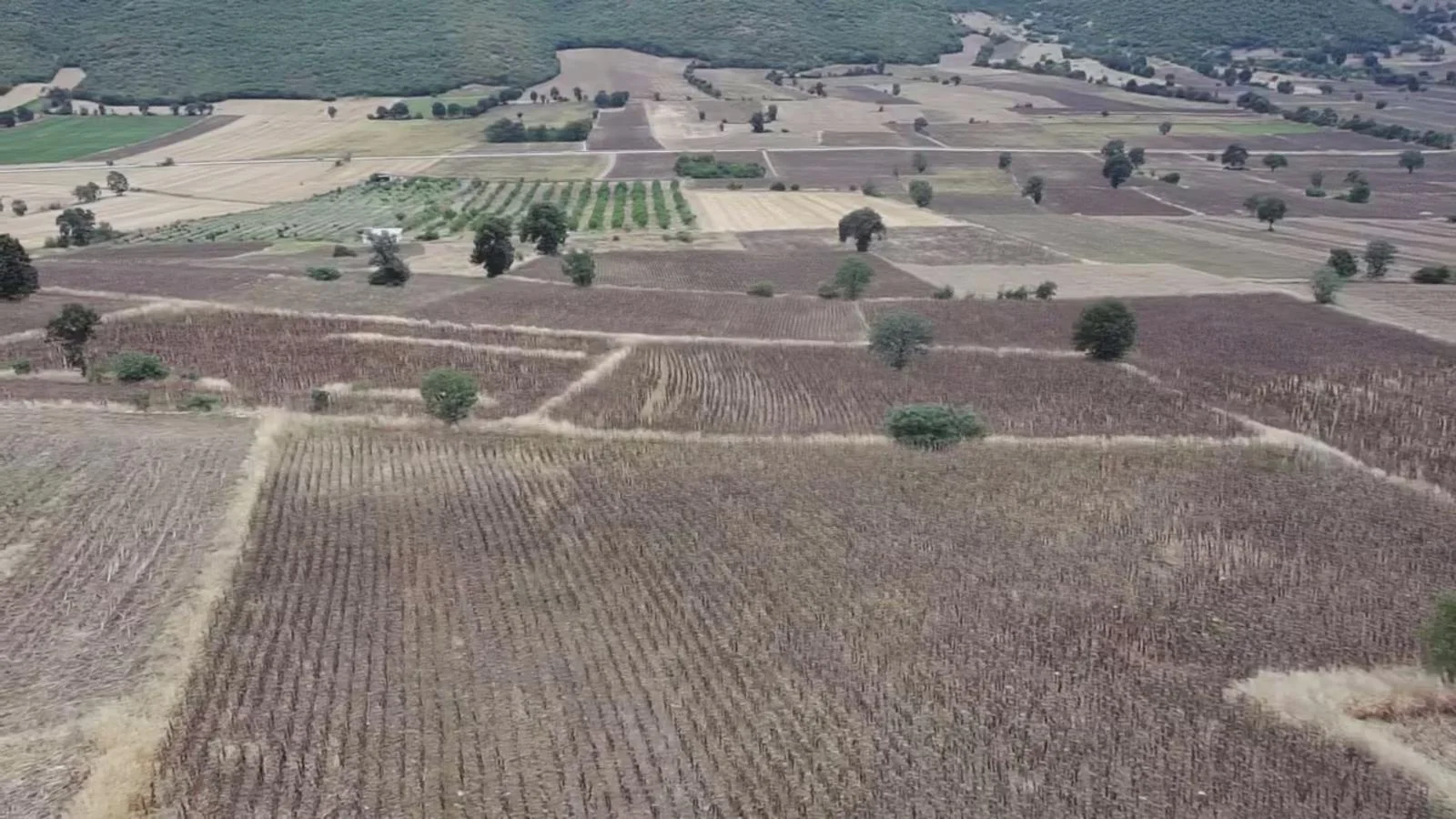 Erbaa Değirmenli köyünde 8136 m2 satılık tarla - Resim 16