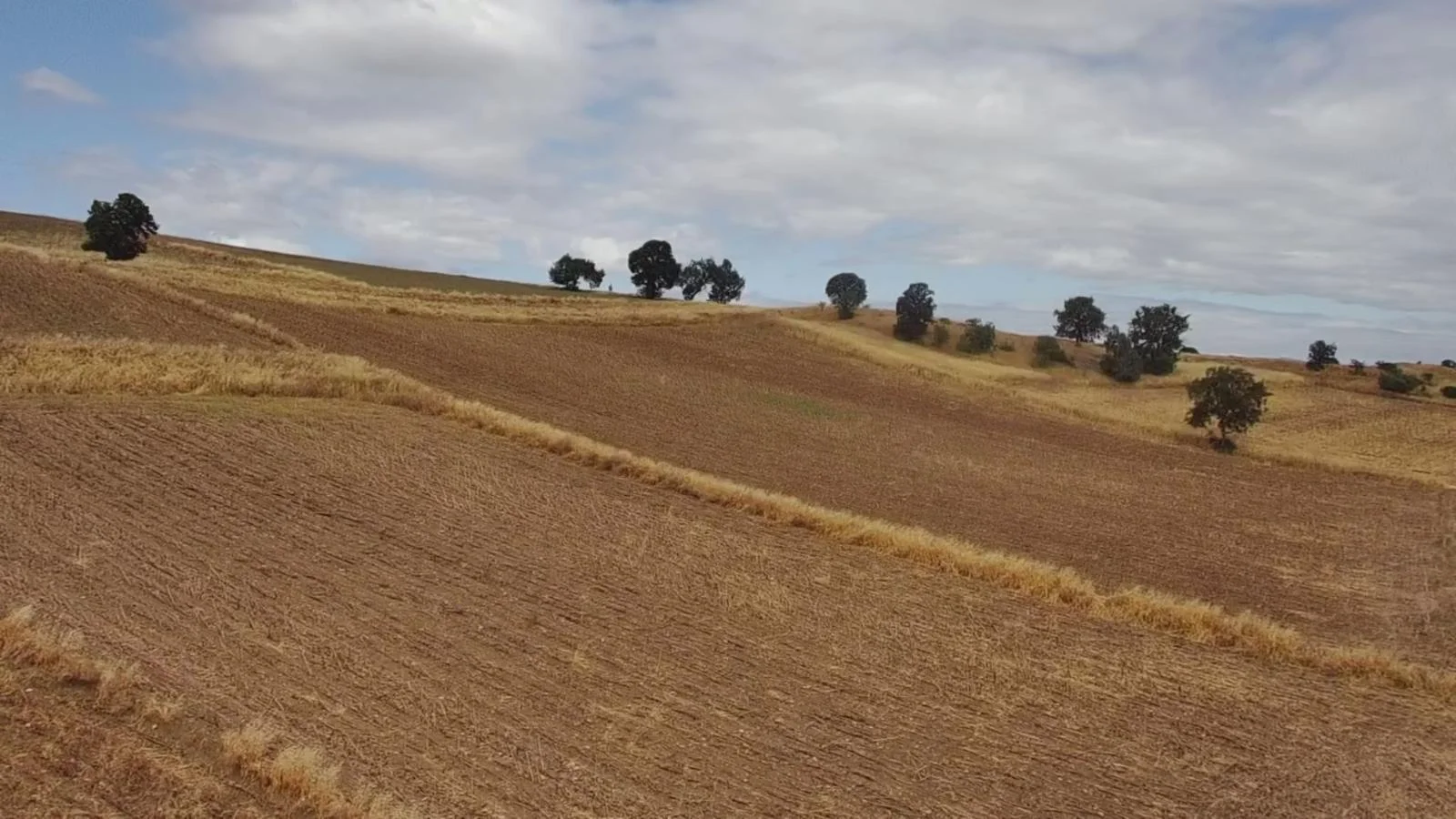 Erbaa Değirmenli köyünde 8136 m2 satılık tarla - Resim 17