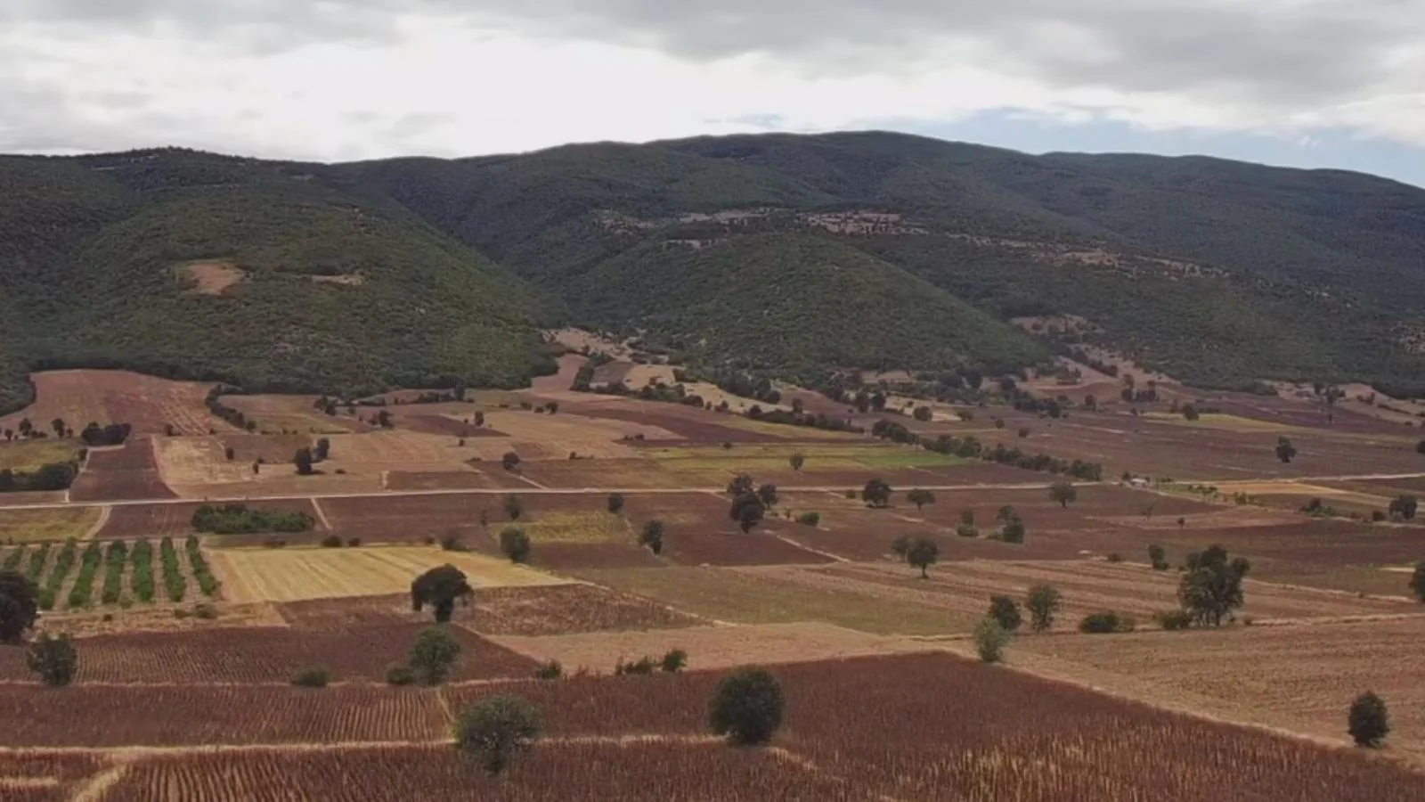 Erbaa Değirmenli köyünde 8136 m2 satılık tarla - Resim 18