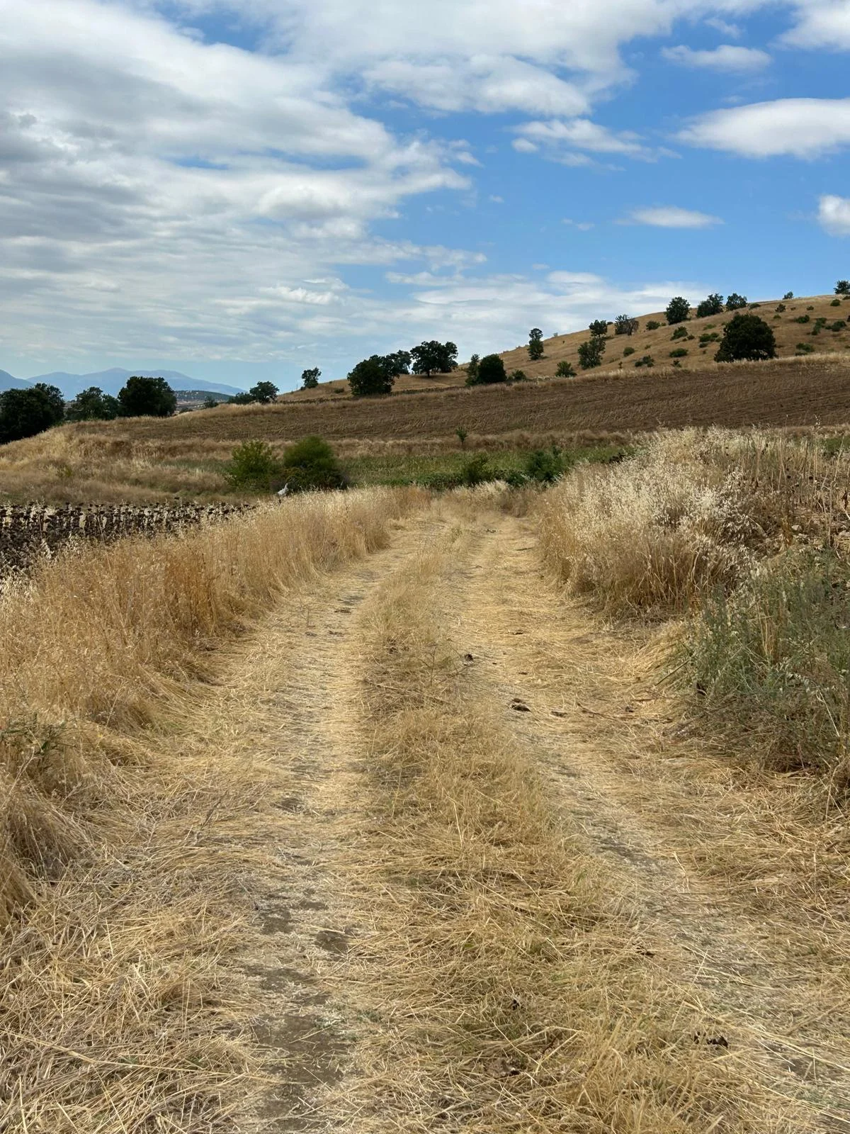 Erbaa Değirmenli köyünde 8136 m2 satılık tarla - Resim 20