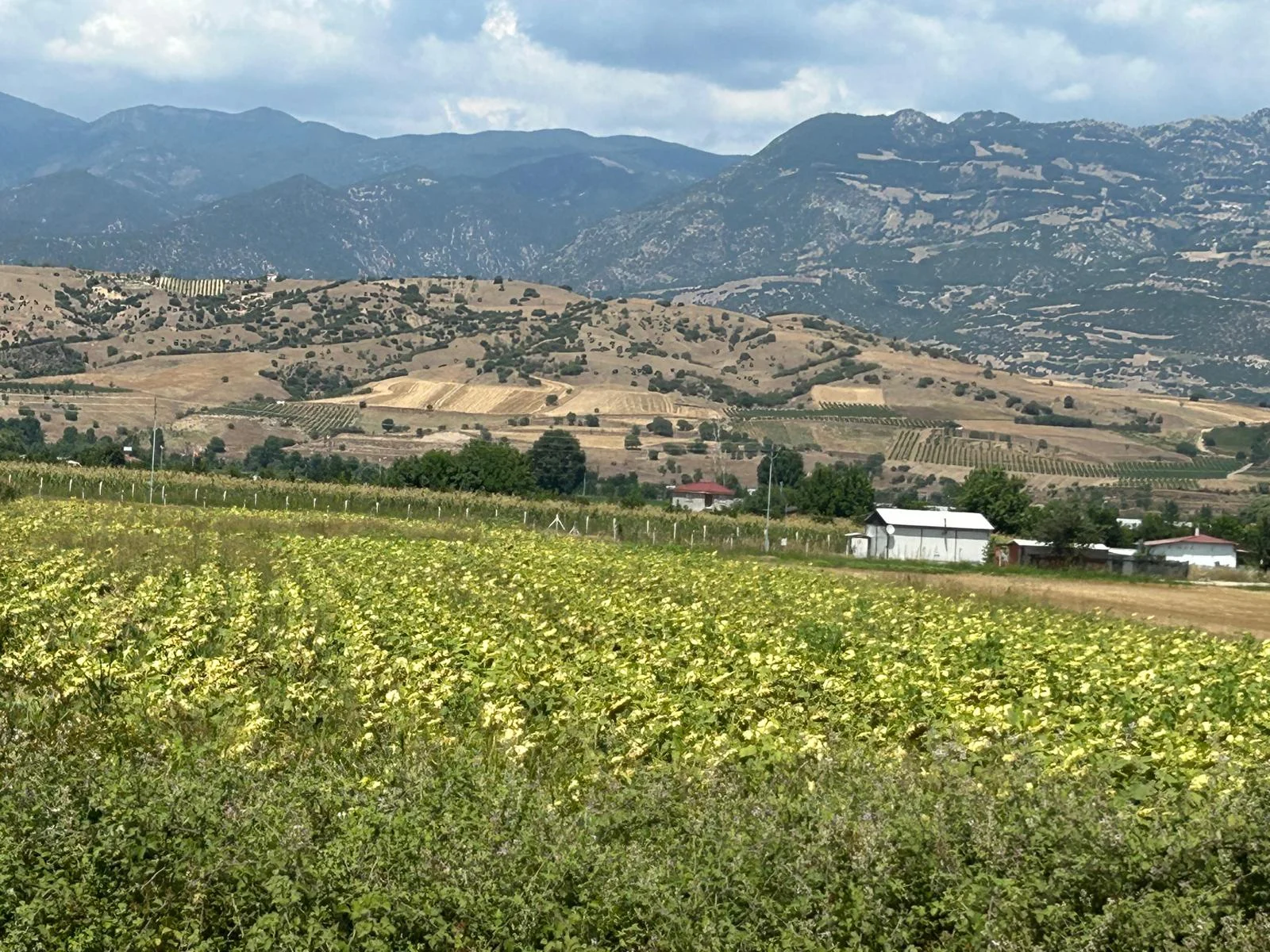 Erbaa tepe kışla D100 karayolu üzerinde 7317 m2 satılık tarla - Resim 17