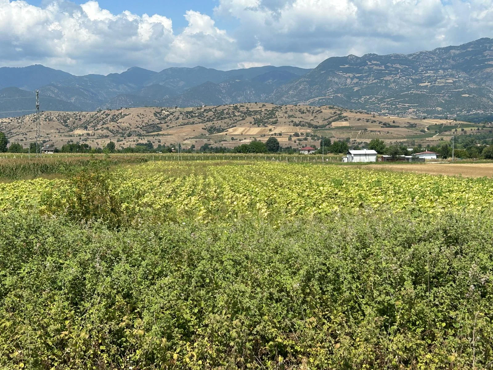 Erbaa tepe kışla D100 karayolu üzerinde 7317 m2 satılık tarla - Resim 18