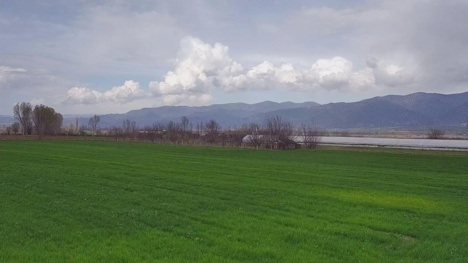 ERBAA/EVYABA MAHALLESİNDE 11269M2 SATLIK TARLA - Resim 11