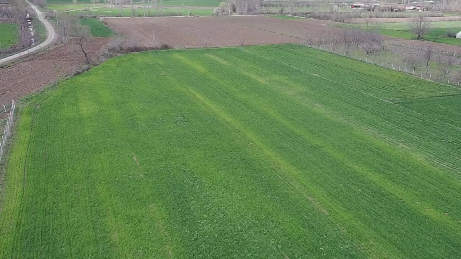 ERBAA/EVYABA MAHALLESİNDE 11269M2 SATLIK TARLA - Resim 2