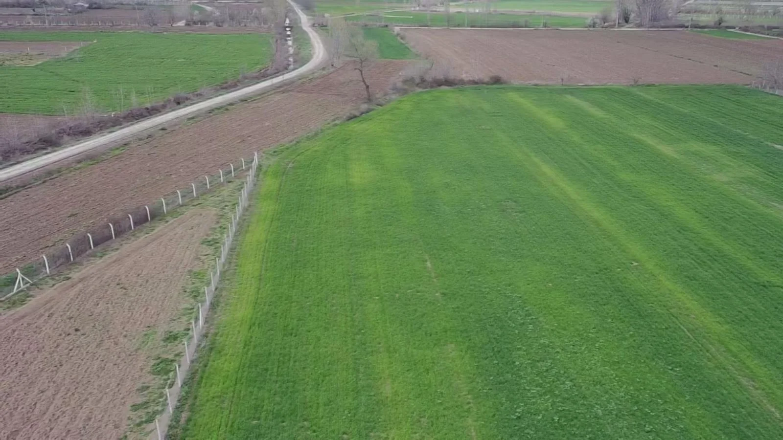 ERBAA/EVYABA MAHALLESİNDE 11269M2 SATLIK TARLA