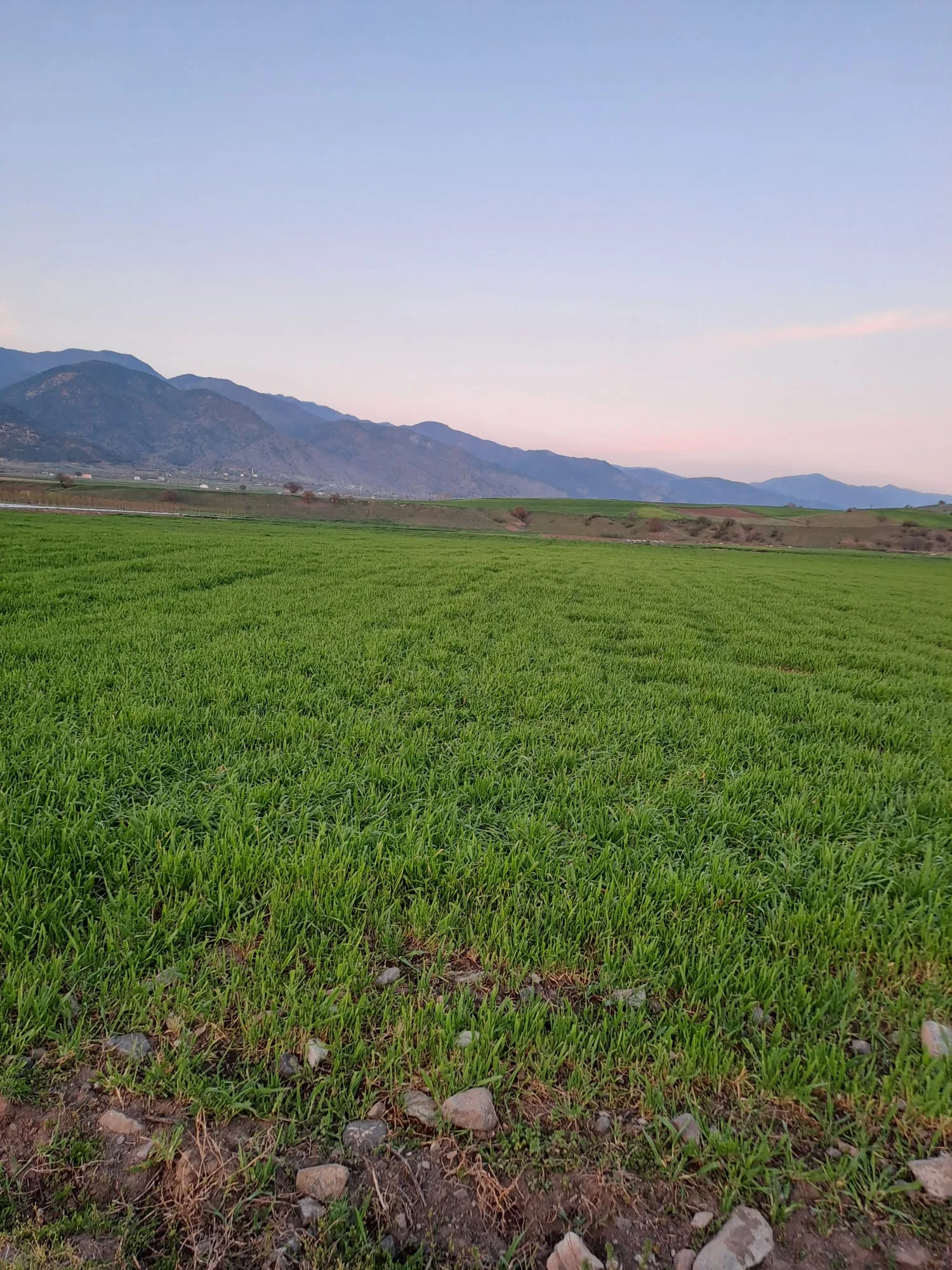 ERBAA KARAYAKA BÖLGESİNDE 9733M2 TARLA