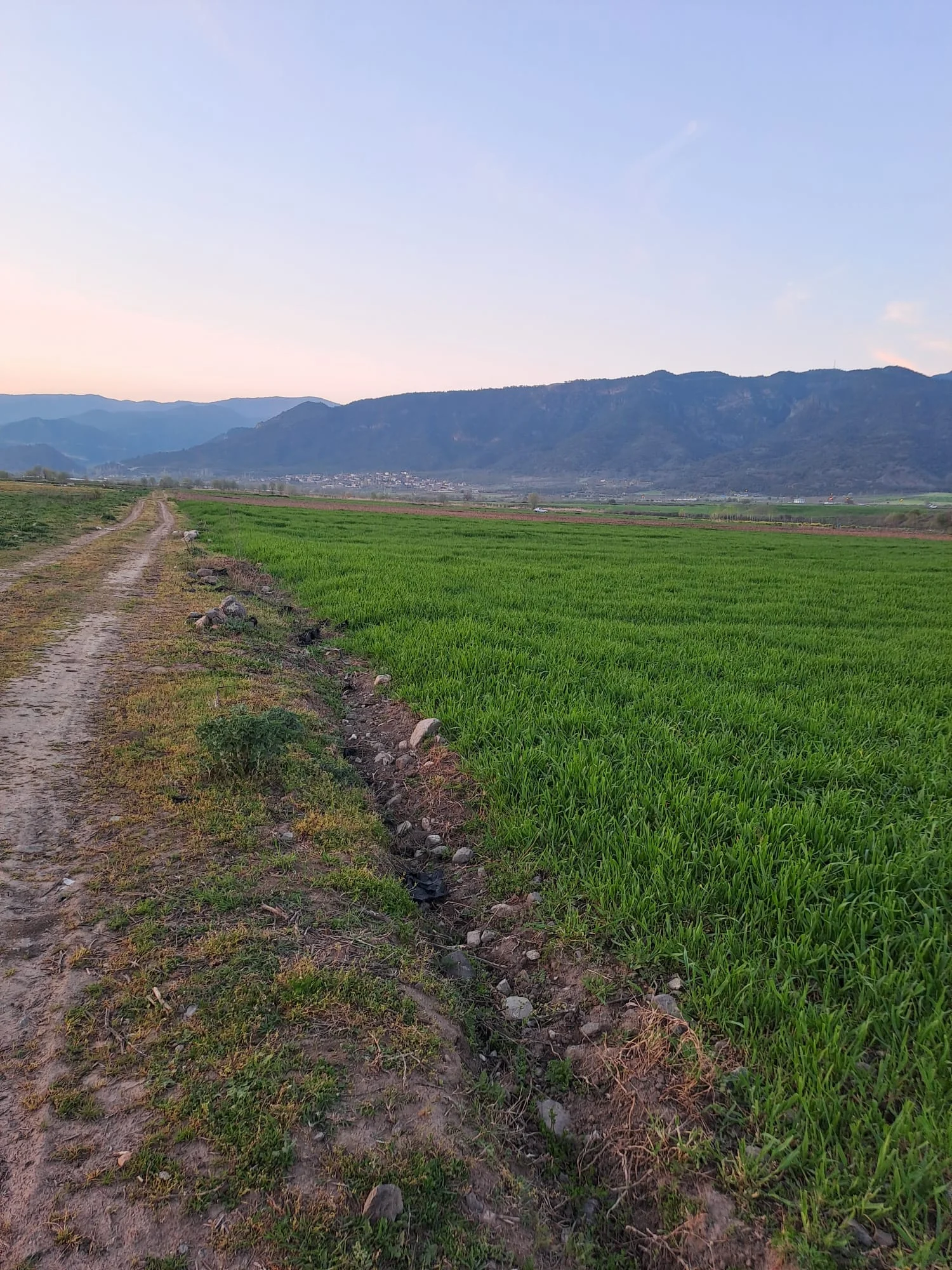 ERBAA KARAYAKA BÖLGESİNDE 9733M2 TARLA - Resim 3