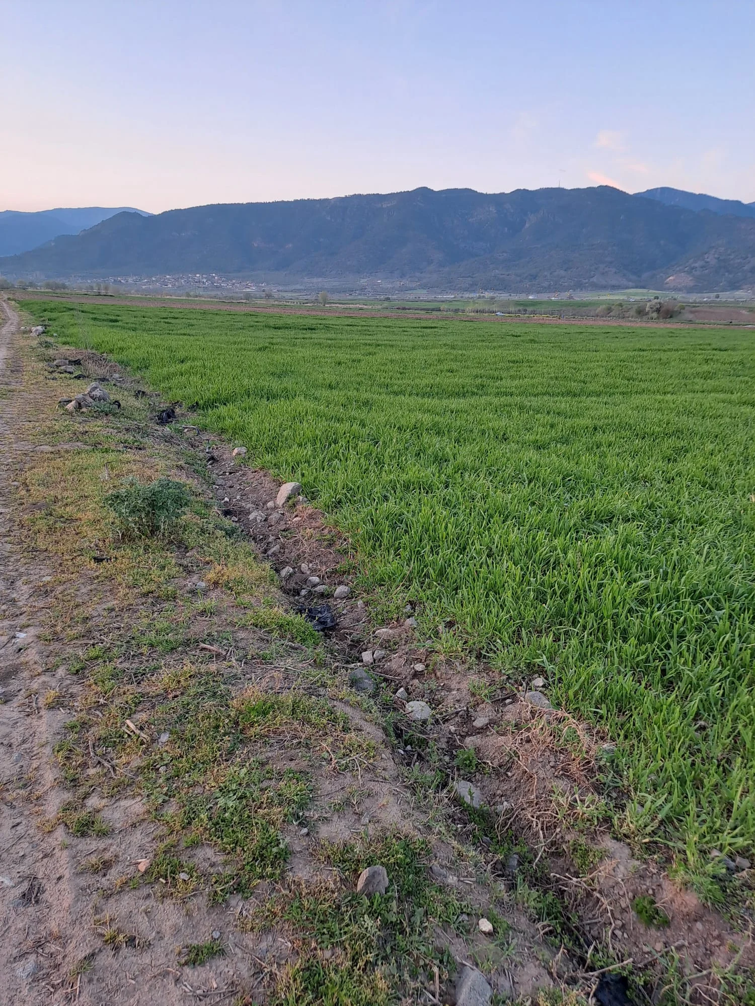 ERBAA KARAYAKA BÖLGESİNDE 9733M2 TARLA - Resim 4