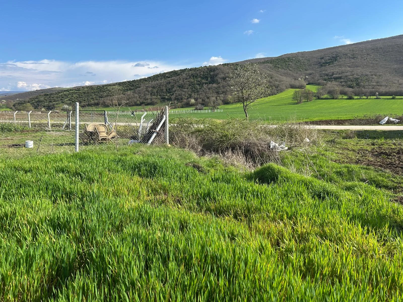 ERBAA KOÇAK MAHALLESİ AKKOÇ VE TANOBA YOLU ÜZERİNDE 5435 M2 TARLA - Resim 6
