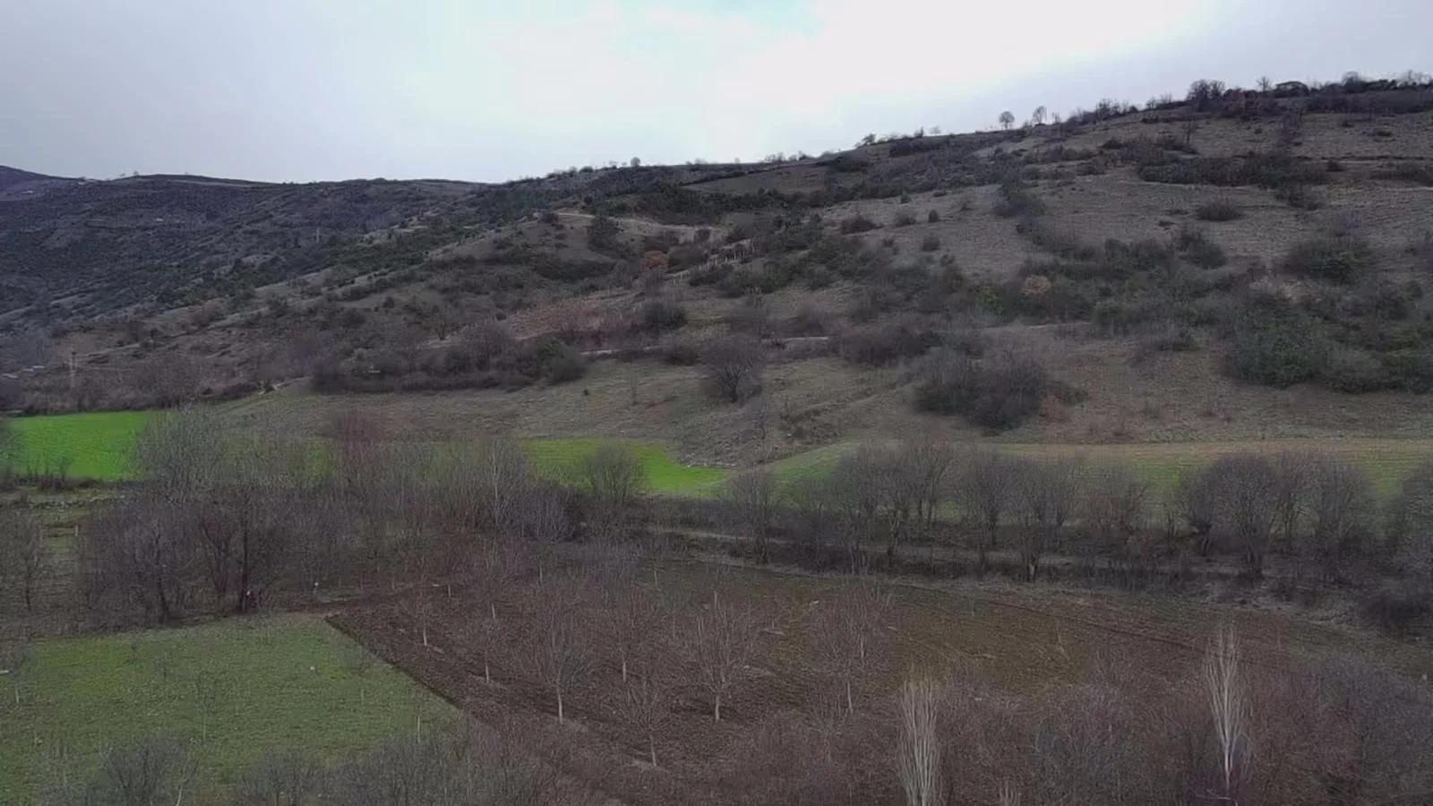 Erbaa Koçak mahallesinde    4725 m2 satılık tarla - Resim 1