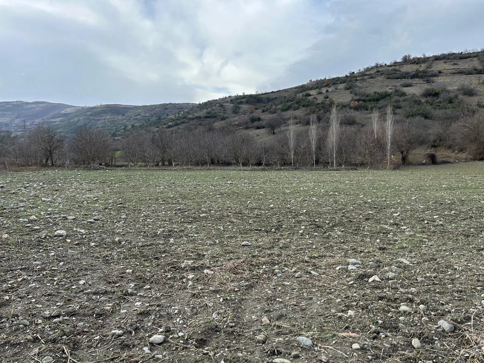 Erbaa Koçak mahallesinde    4725 m2 satılık tarla - Resim 11