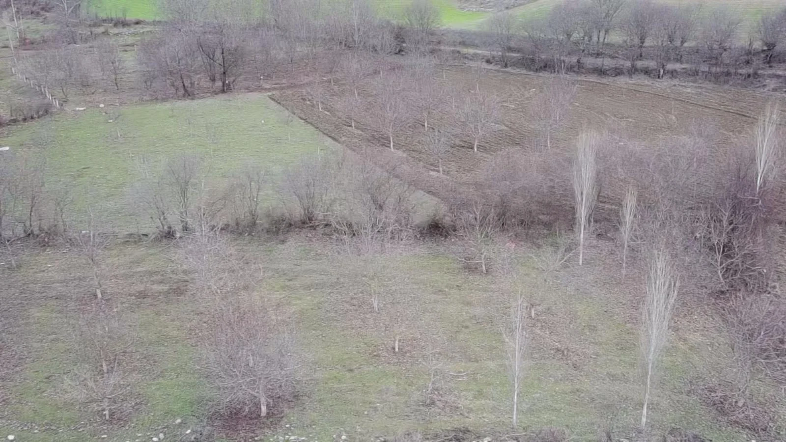 Erbaa Koçak mahallesinde    4725 m2 satılık tarla - Resim 2