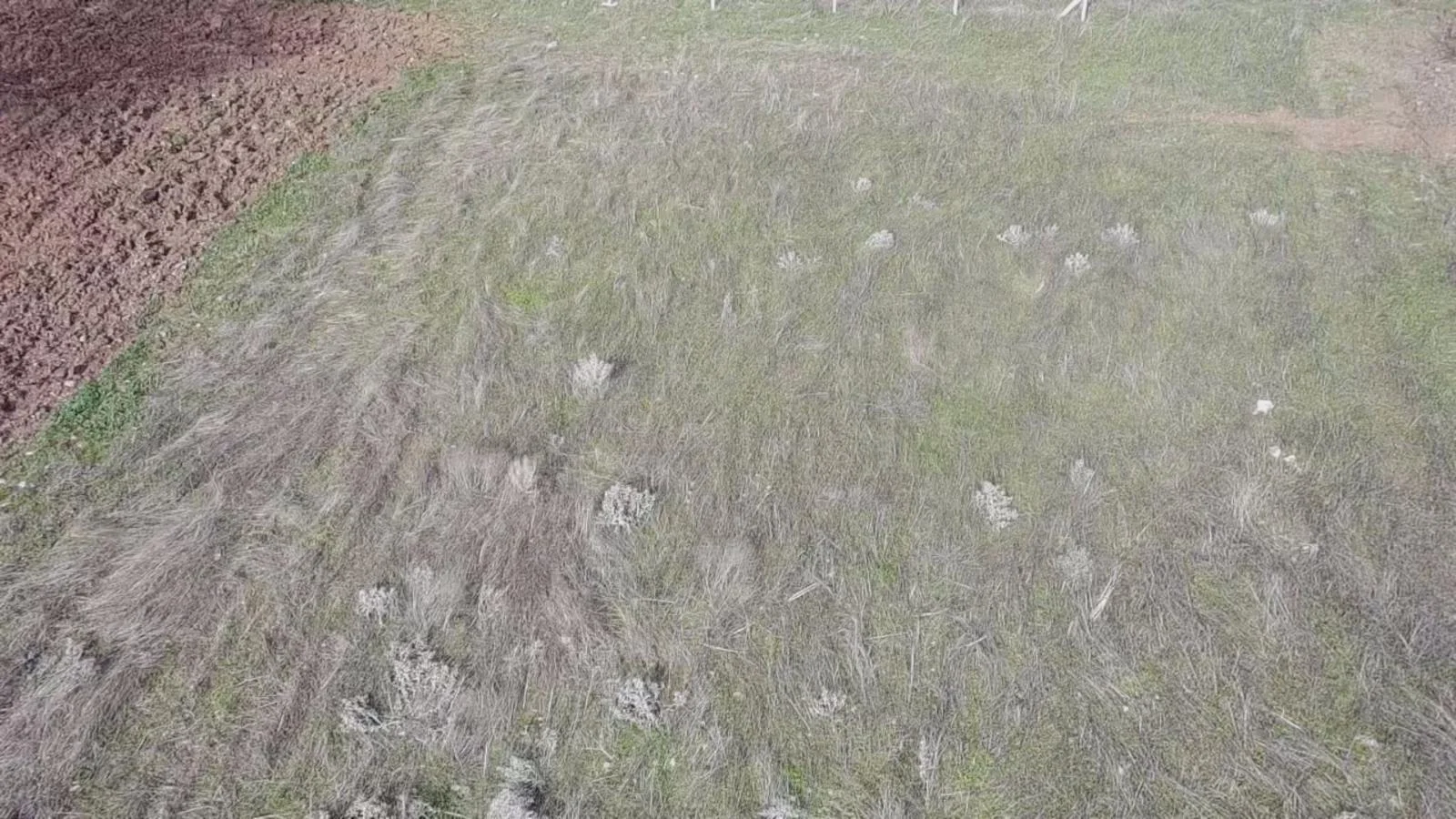 EVYABA MAHALLESİ YENİ HASTAHANE ÜSTÜNDE SATLIK 1600M2 TARLA - Resim 7