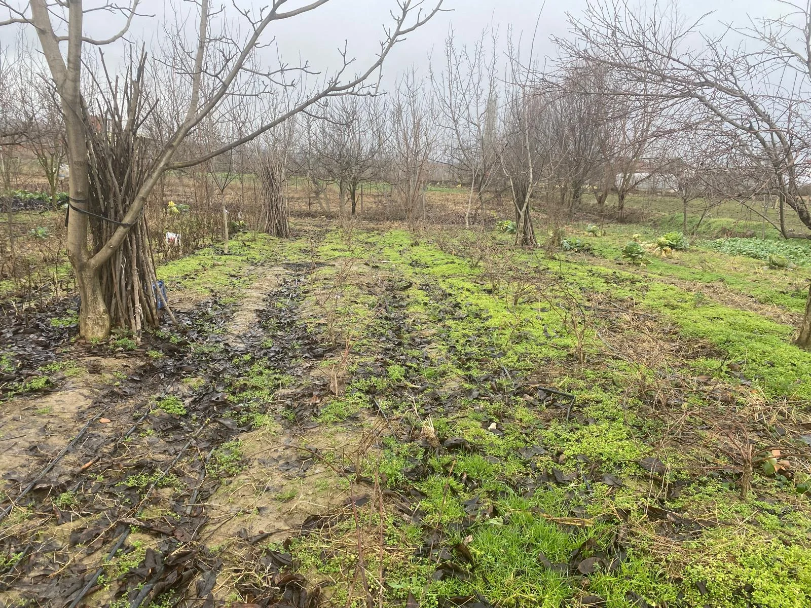 Tokat Erbaa Kelkit Mahallesinde 423 M2 satılık Arsa - Resim 4